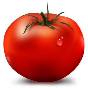 Logo des Programms Tomate